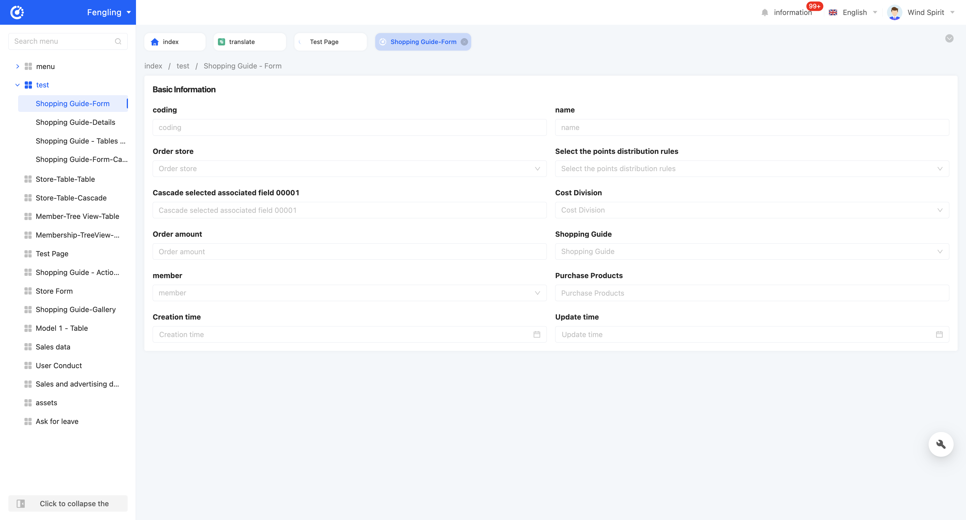 Form Display Page Example